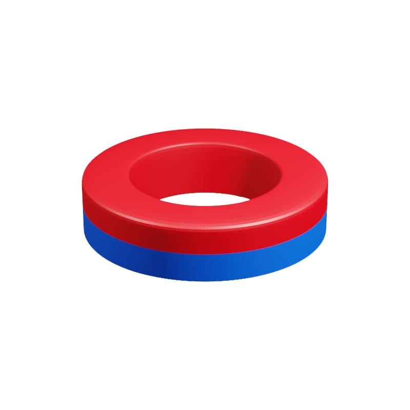 Ring axial magnetised jpg